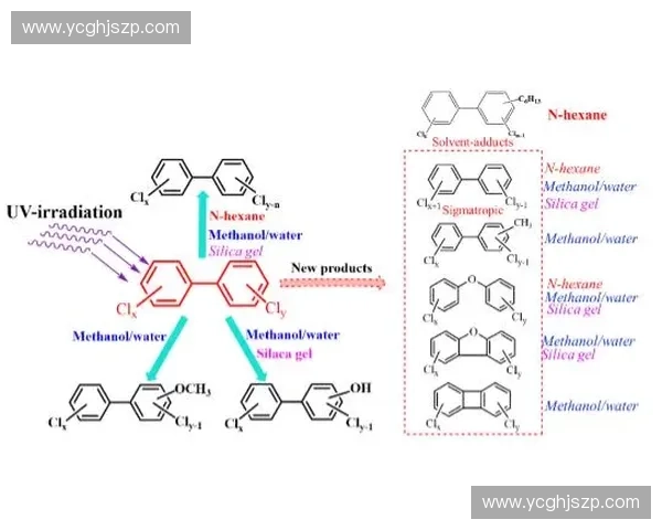 围绕耐力配速构建科学训练与长期稳定表现提升路径研究方法分析策略