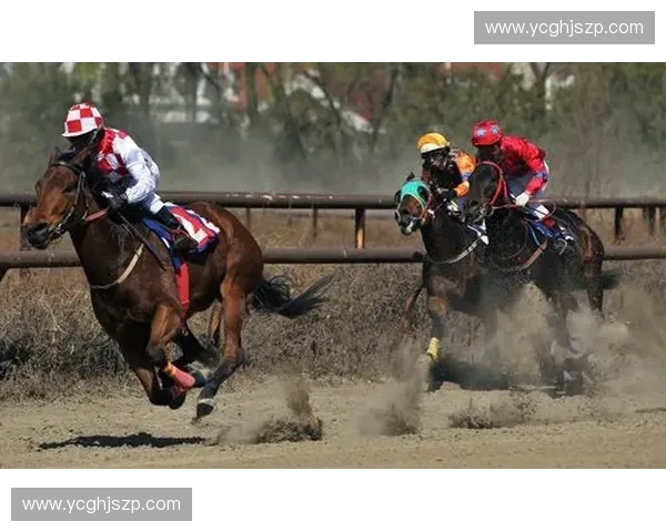 定格速度与力量之美的体育摄影艺术全景探索与时代表达精神魅力