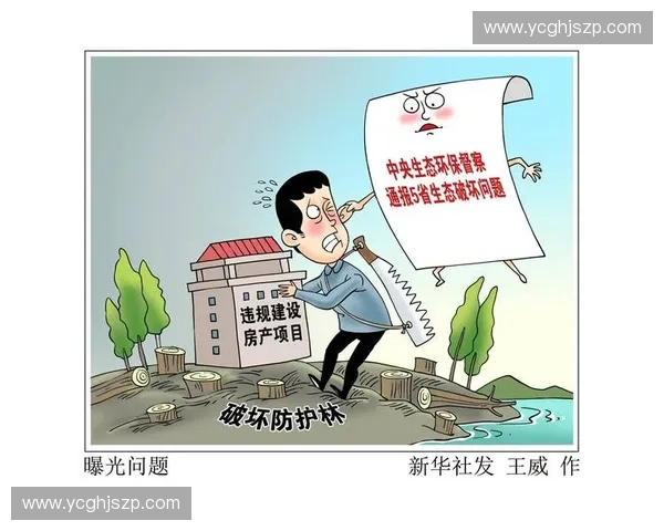 聚焦曝光权益保护：如何平衡公众知情权与隐私安全问题